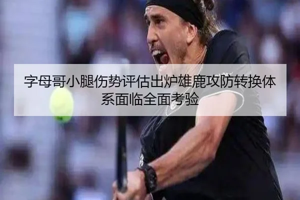 zi-mu-ge-xiao-tui-shang-shi-ping-gu-chu-lu-xiong-lu-gong-fang-zhuan-huan-ti-xi-mian-lin-quan-mian-kao-yan-2-145.jpg