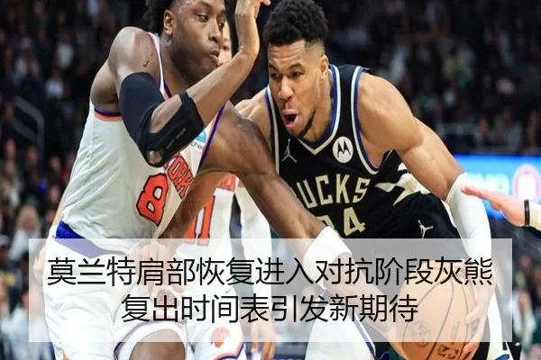 莫兰特肩部恢复进入对抗阶段灰熊复出时间表引发新期待